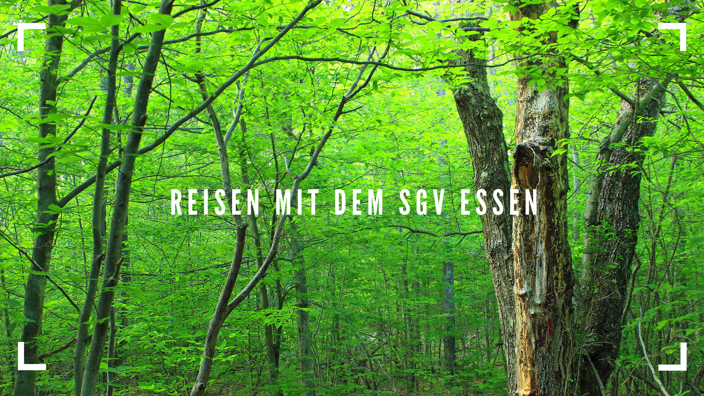 You are currently viewing Anmeldung ab sofort möglich: Wanderfreizeit im Bayerischen Wald im Mai 2024