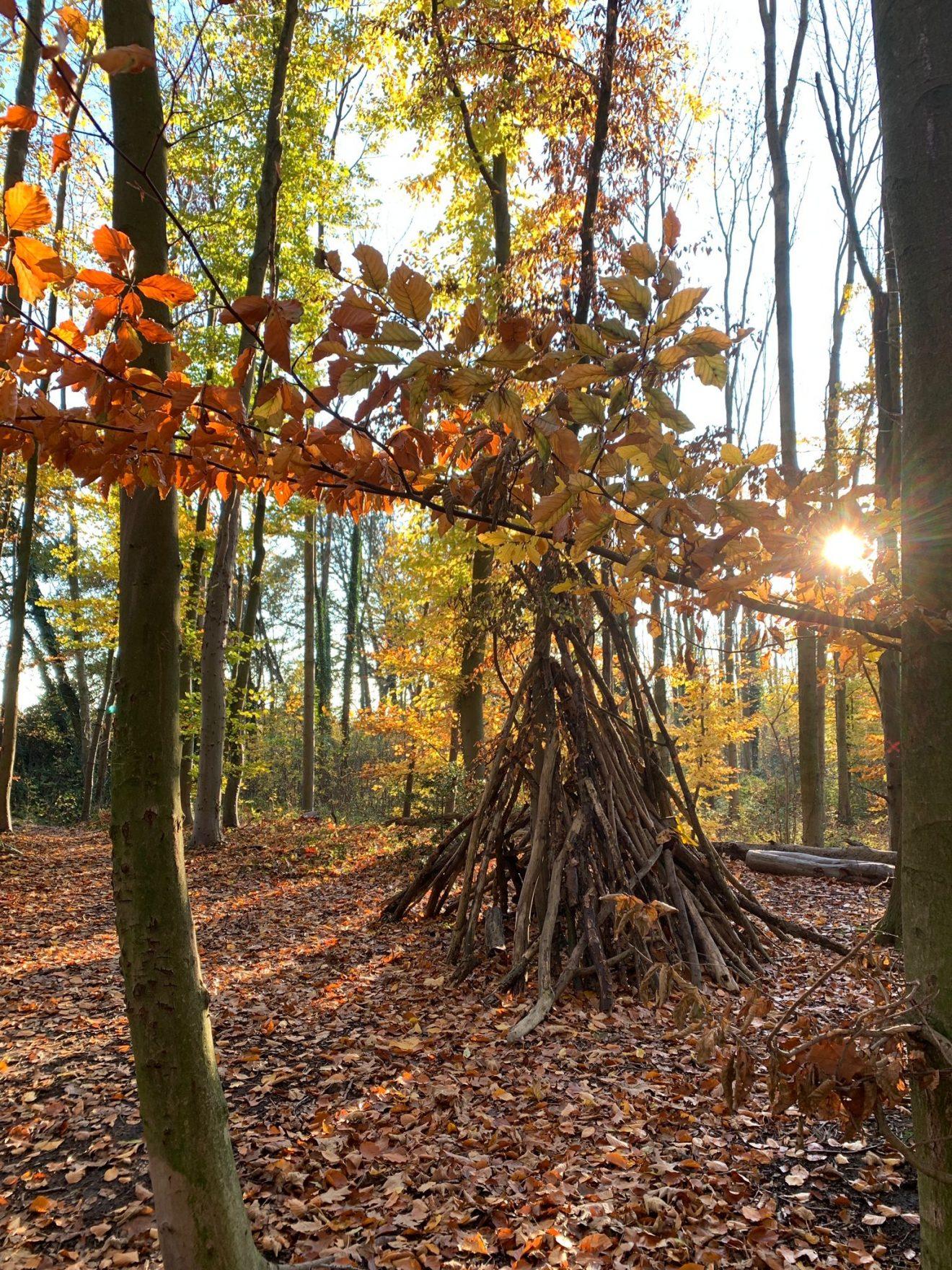 Bild eines herbstlichen Waldes mit Holz-Tipi