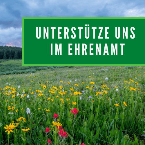 Read more about the article Erinnerung: Weiterhin Unterstützer gesucht – Stand bei Essen.Original vom 11. bis 12. Mai 2024