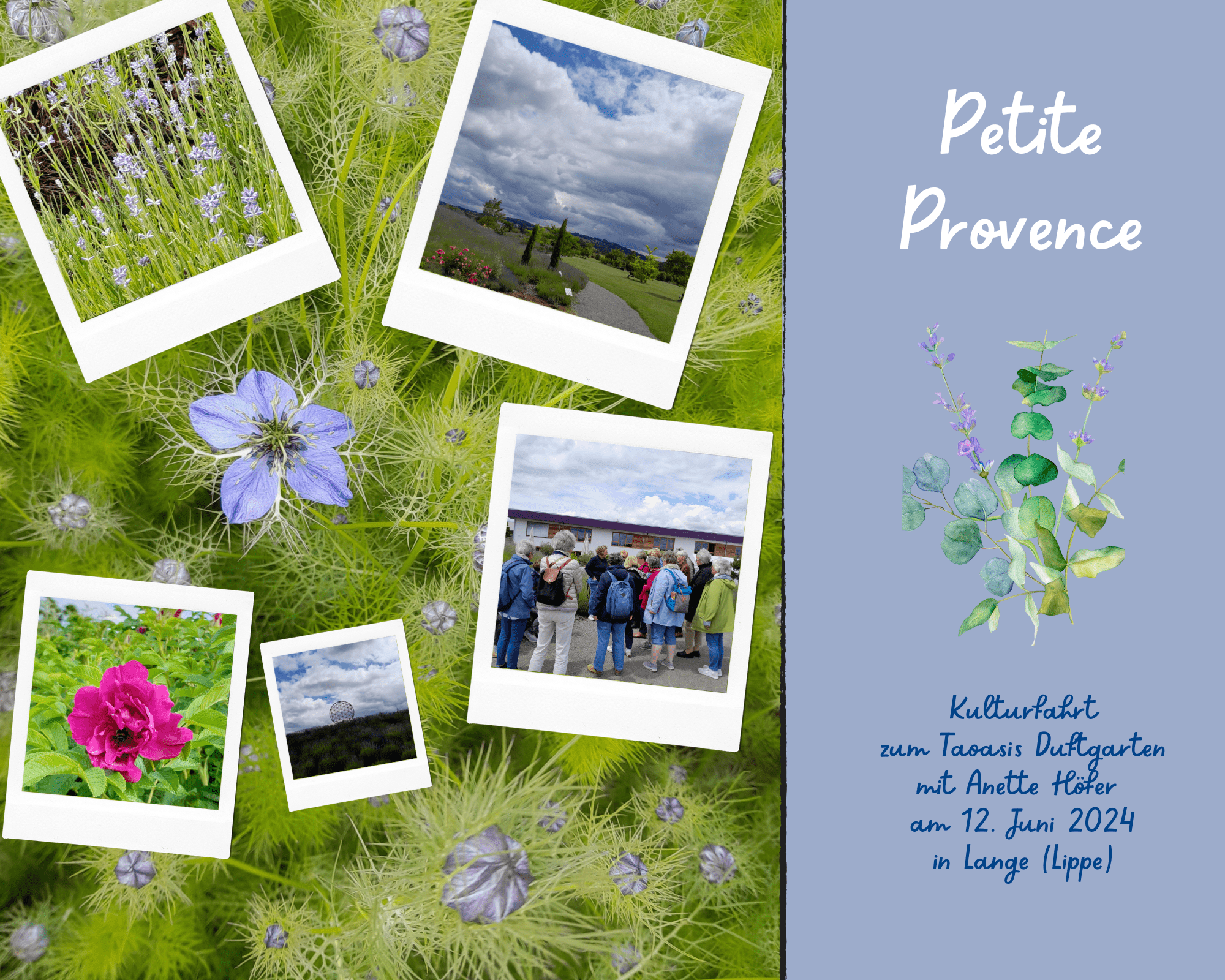Mehr über den Artikel erfahren Impressionen von der Kulturfahrt mit Anette: Petite Provence – Taoasis Duftgarten