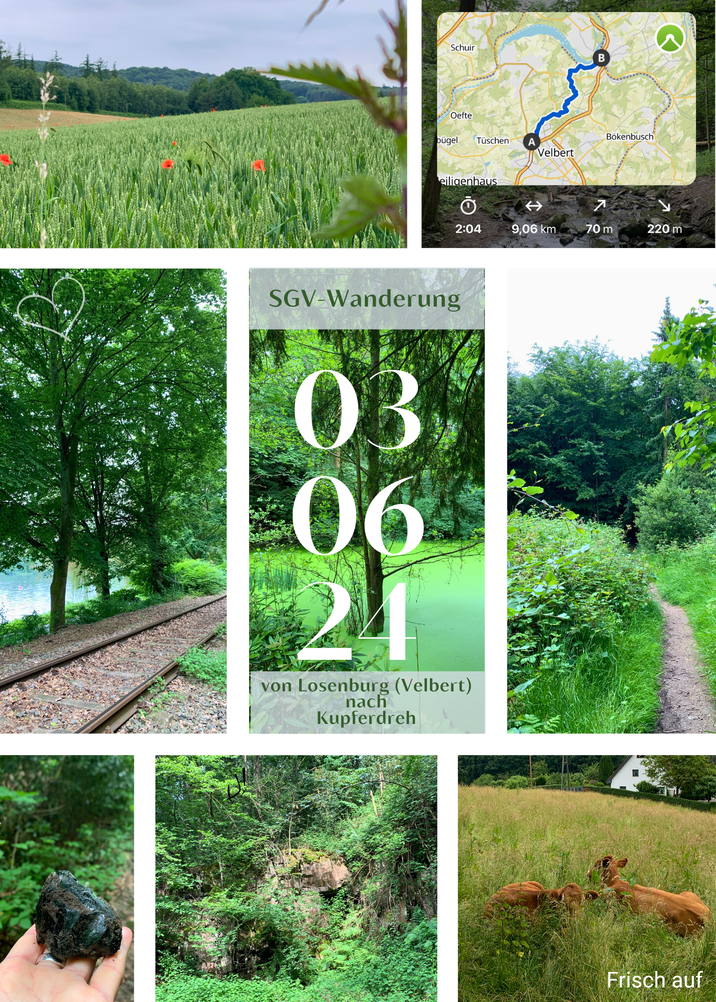 Du betrachtest gerade 03-06-2024 Fotodokumentation “Von Losenburg (Velbert) nach Kupferdreh”