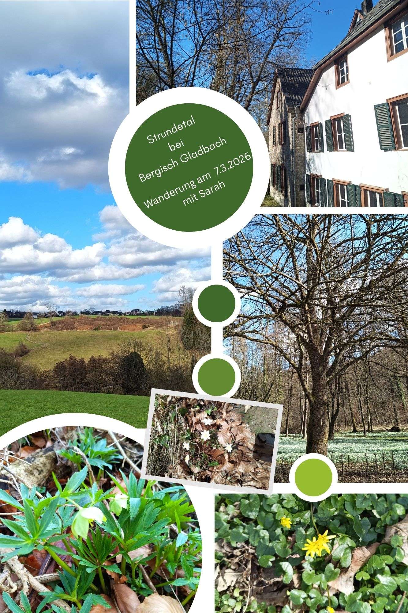 Frühjahrsblüher im Strundetal am 07.03.2026