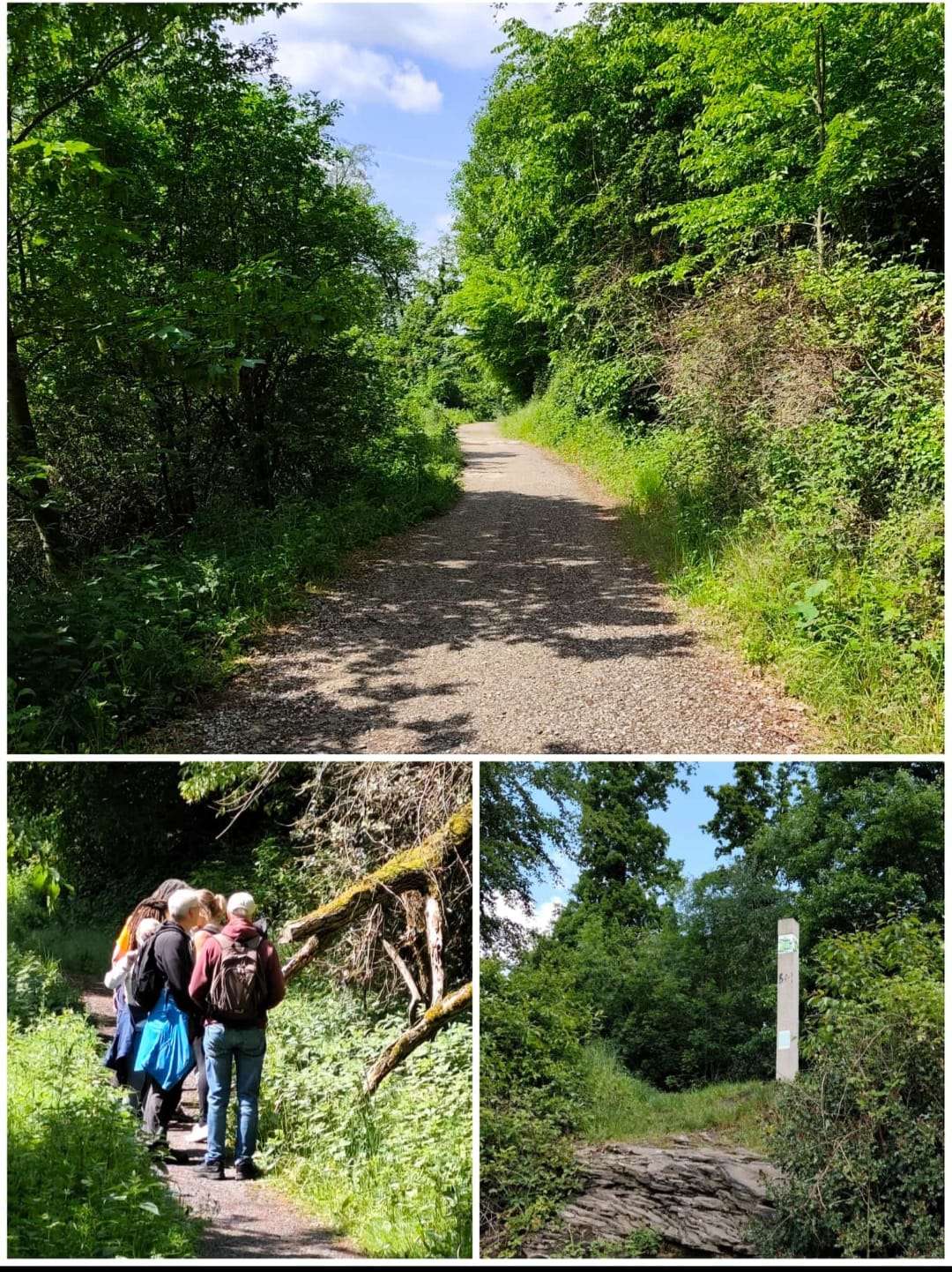 Zusätzliche Wanderung 09.07.2027
