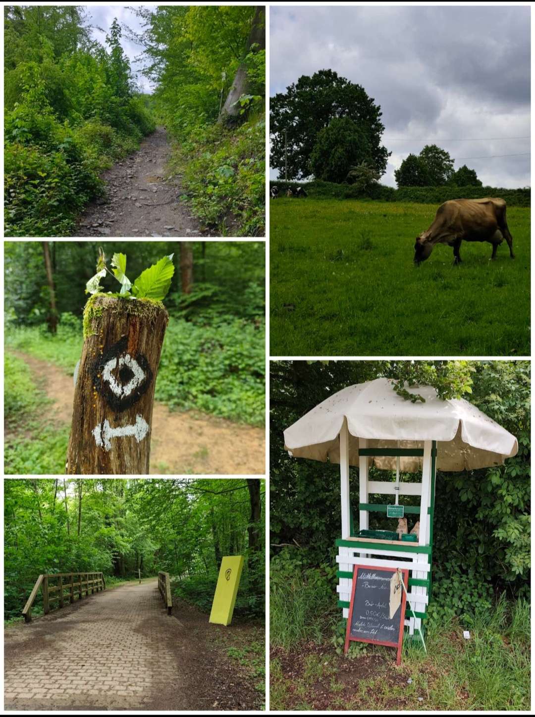 Zusätzliche Wanderung: 21.05.2026