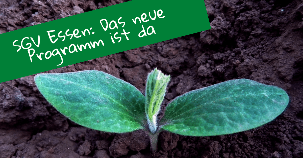 Veranstaltungen 2. Halbjahr 2026 nun auch online im VereinsManager