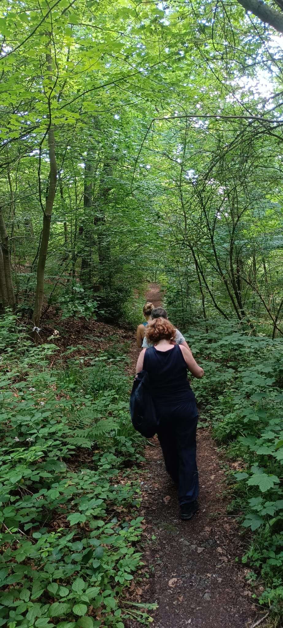 Zusätzliche Wanderung am 25.6.2026